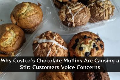 Thumbnail for Why Costco’s Chocolate Muffins Are Causing a Stir: Customers Voice Concerns